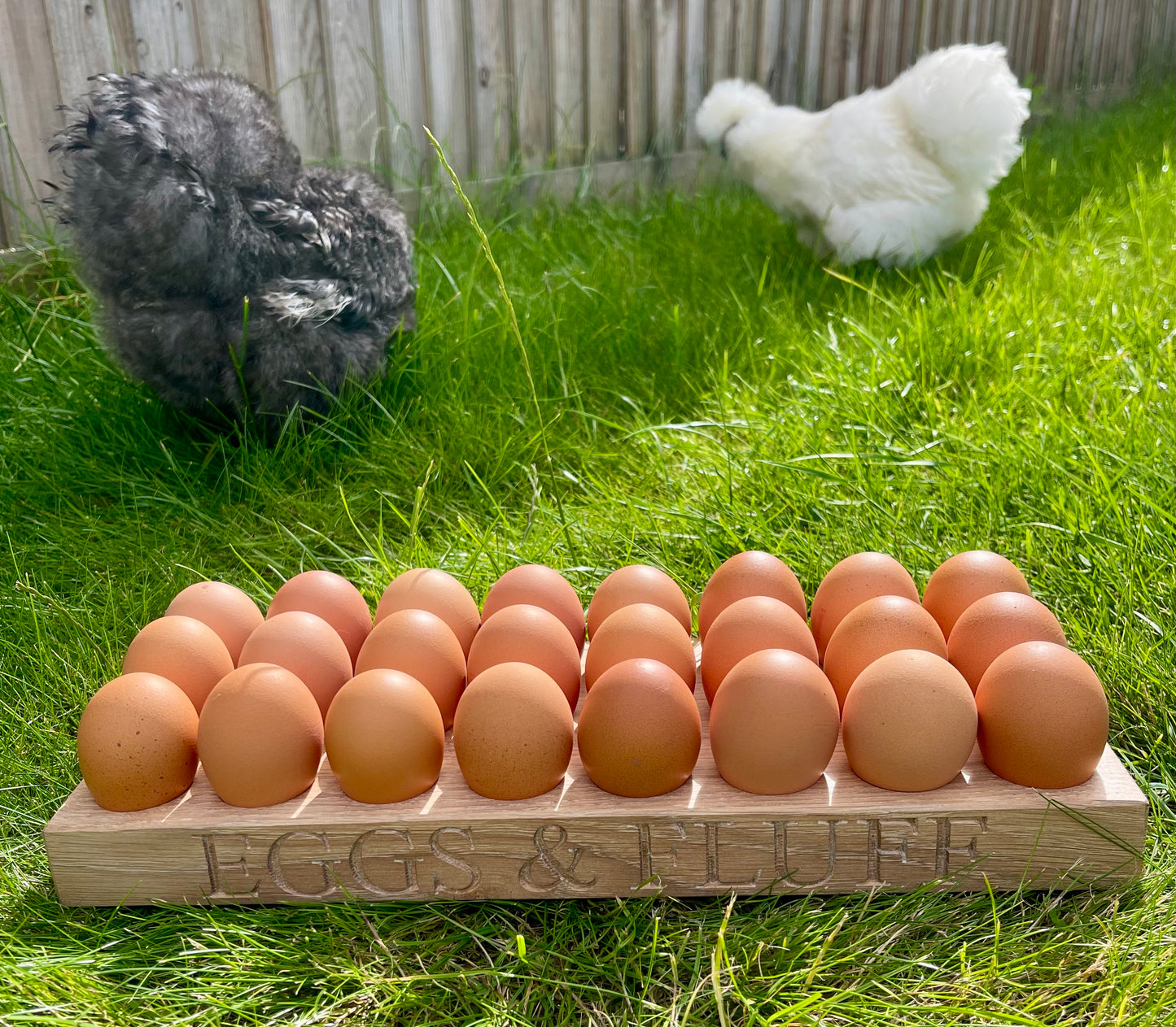Bantam egg holder holds 24 eggs