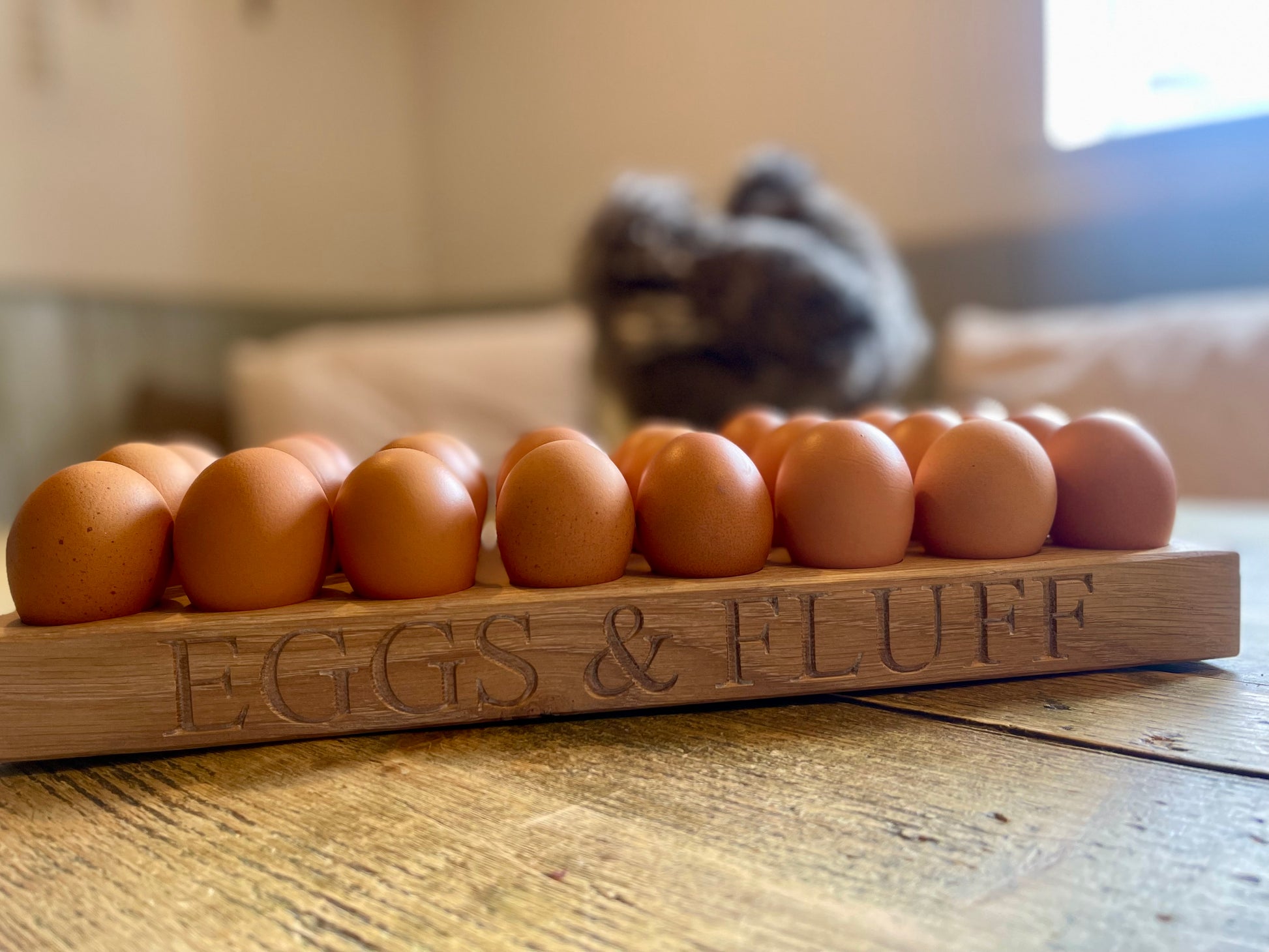 close up front of bantam egg holder