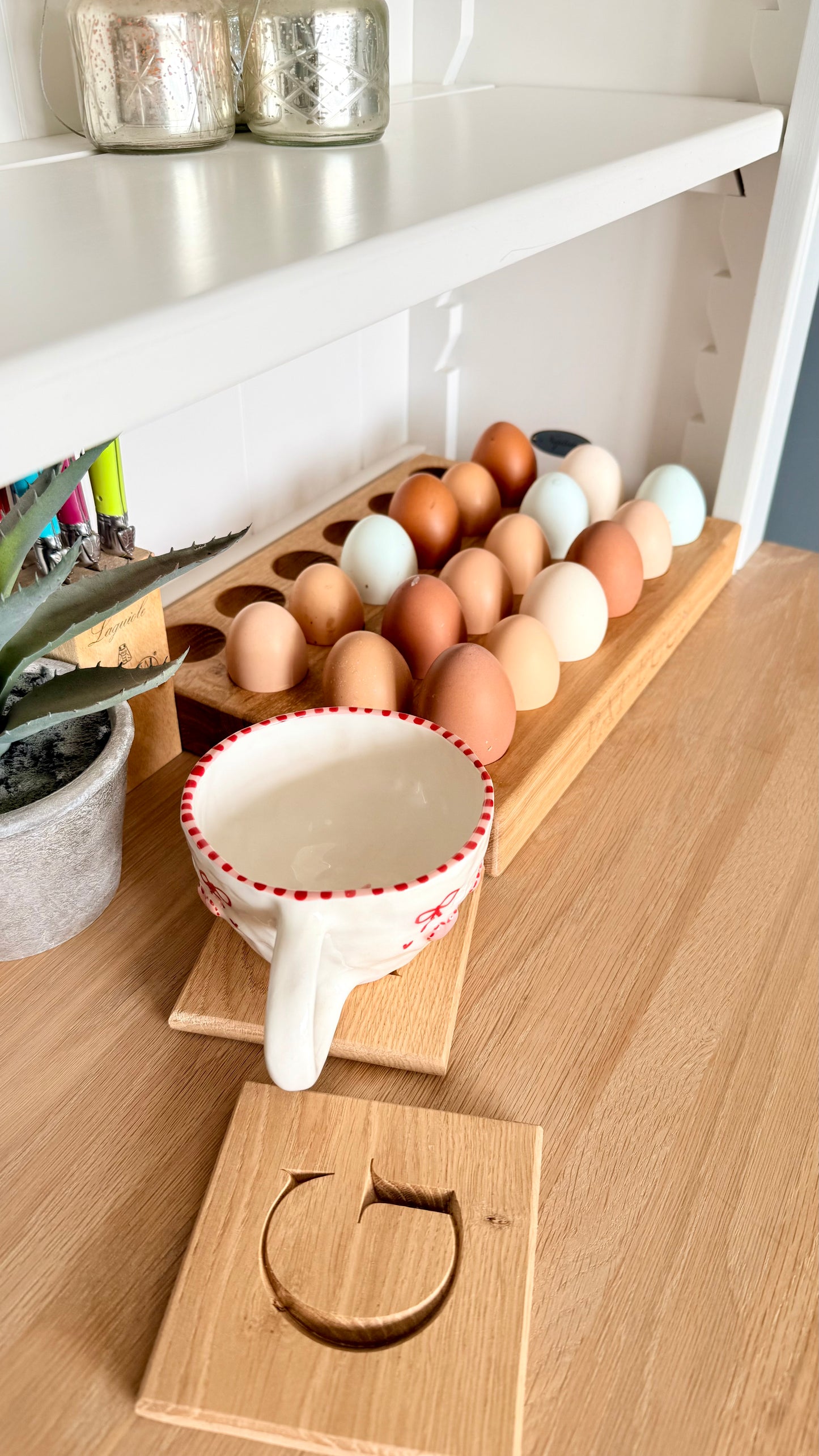 24 Egg Holder